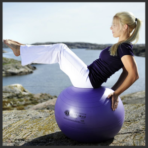 Gymball Sissel Securemax – 45 cm