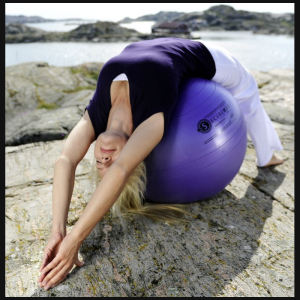 Gymball Sissel Securemax – 45 cm