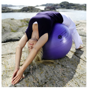 Gymball Sissel Securemax – 65 cm