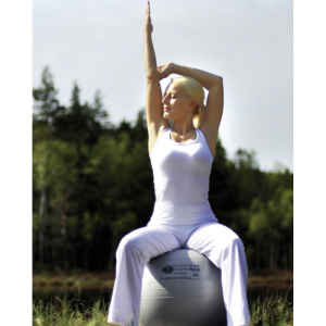 Gymball Sissel Securemax – 75 cm