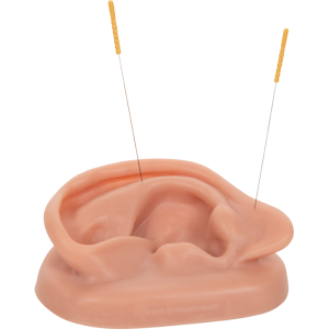 Oreilles pour acupuncture (pack de 2)