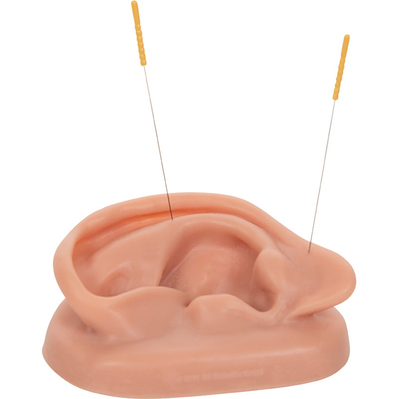 Oreilles pour acupuncture (pack de 2)