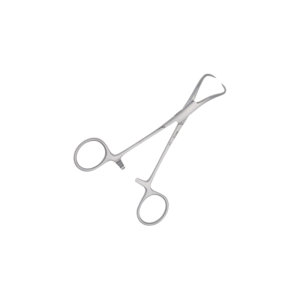 Pince de Backhaus en inox – 12 cm