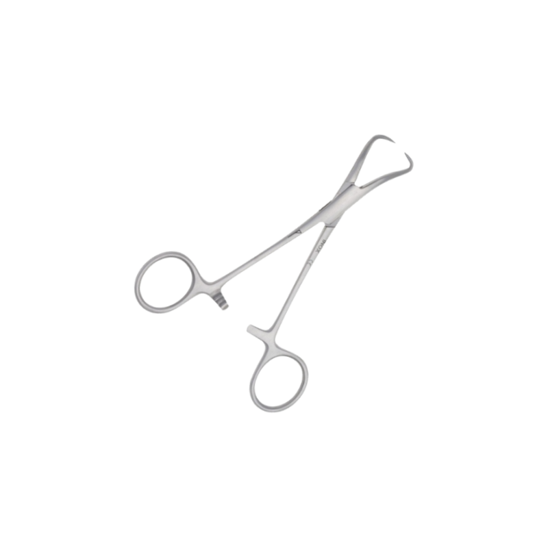 Pince de Backhaus en inox – 12 cm