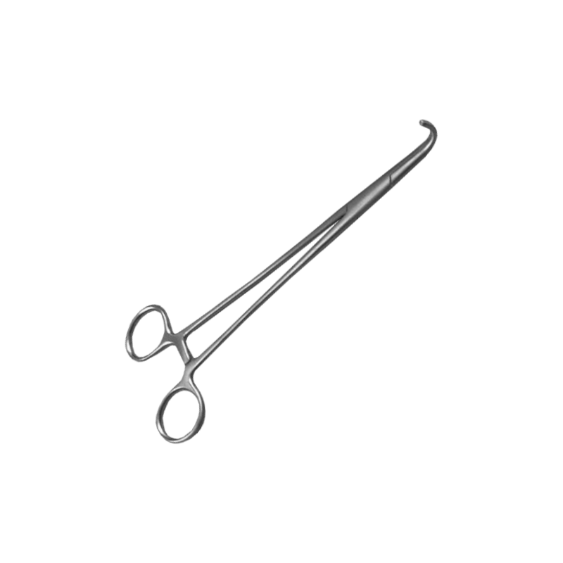Pince Négus en inox – 19 cm