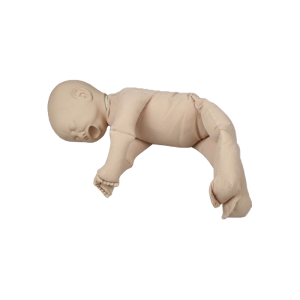 Poupée de démonstration sans placenta