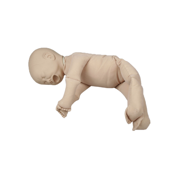 Poupée de démonstration sans placenta