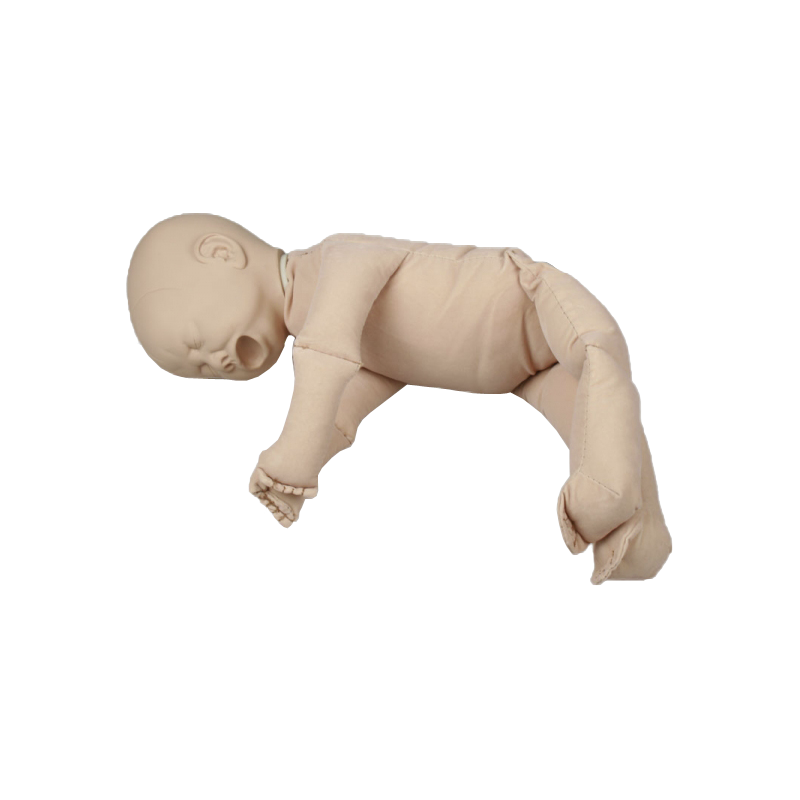Poupée de démonstration sans placenta