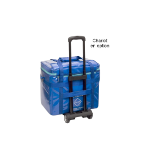 Sac isotherme Cool Elite bags