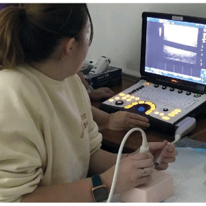 Simulateur d’échographie de thrombose veineuse profonde Erler Zimmer SonoEz