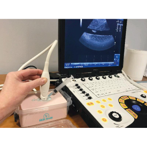 Simulateur d’échographie de thrombose veineuse profonde Erler Zimmer SonoEz