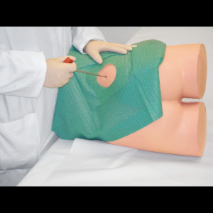 Simulateur d’injection intramusculaire et biopsie de la moelle osseuse