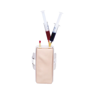 Simulateur de ponction veineuse 3B Scientific
