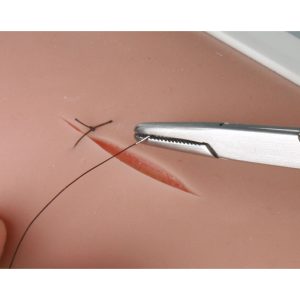 Simulateur de suture de la peau Erler Zimmer