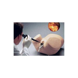 Simulateur d’Hystéroscopie Erler Zimmer