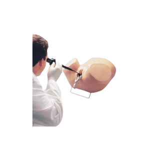Simulateur d’Hystéroscopie Erler Zimmer