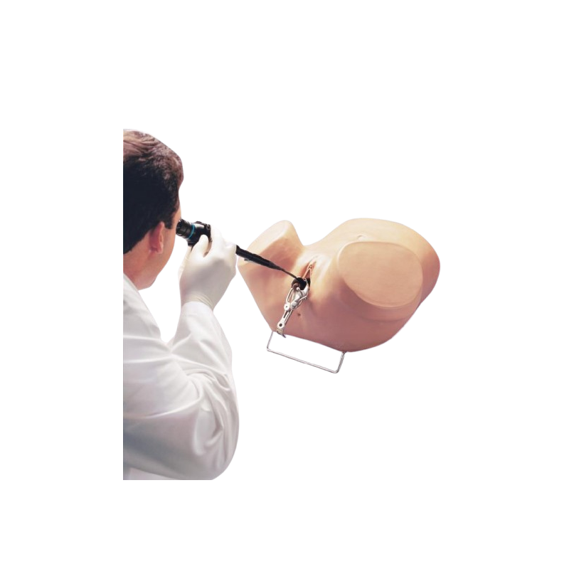 Simulateur d’Hystéroscopie Erler Zimmer