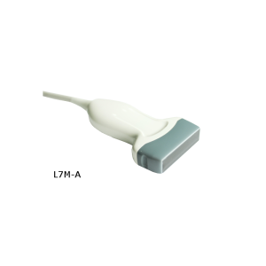 Sondes pour échographes Chison ECO2; ECO3Exp; ECO5; ECO1 VET et ECO3Exp VET