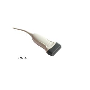 Sondes pour échographes Chison ECO2; ECO3Exp; ECO5; ECO1 VET et ECO3Exp VET